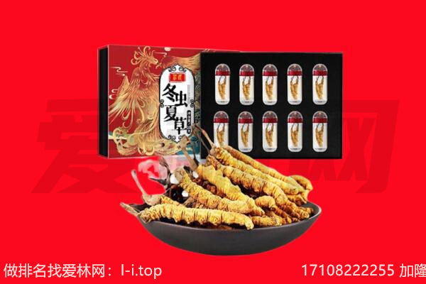 淮安回收虫草.jpg